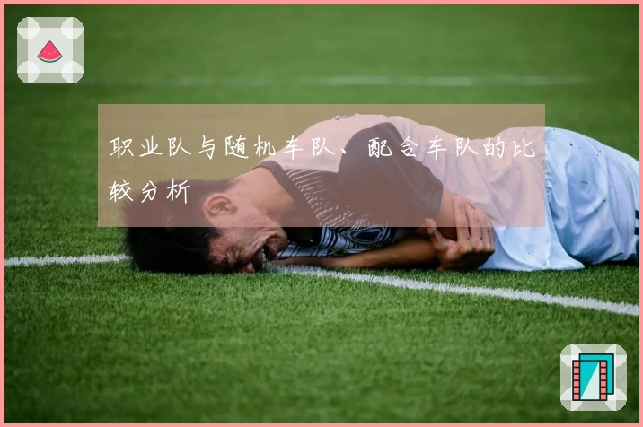 职业队与随机车队、配合车队的比较分析