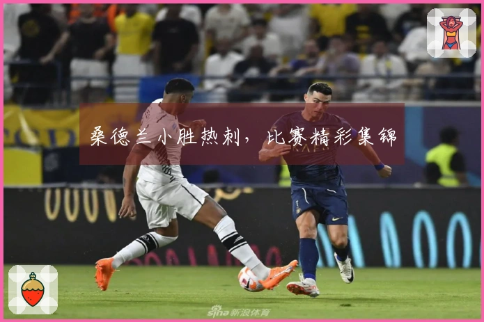桑德兰小胜热刺，比赛精彩集锦