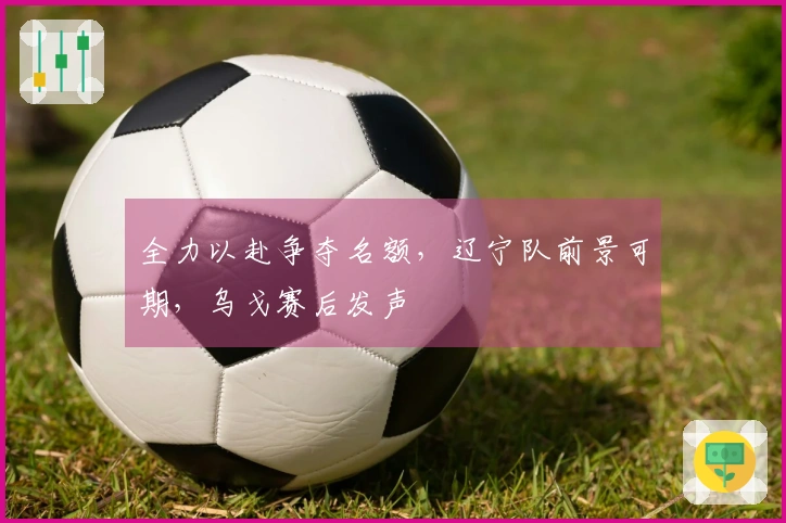 全力以赴争夺名额，辽宁队前景可期，乌戈赛后发声