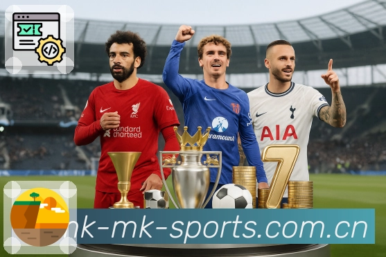 全球热力地图（访问密度）